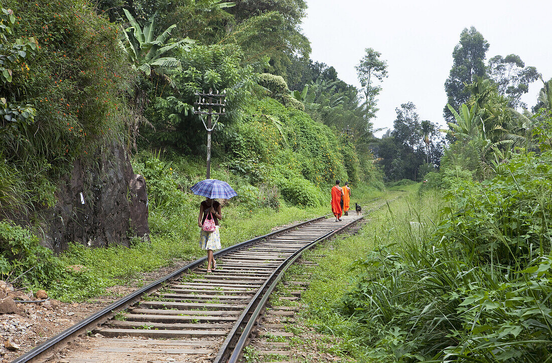Buddhistische Mönche und eine Frau laufen entlang der Gleise an Sri Lankas schönster Eisenbahnstrecke durchs Hochland, Ella, Hochland, Sri Lanka, Asien
