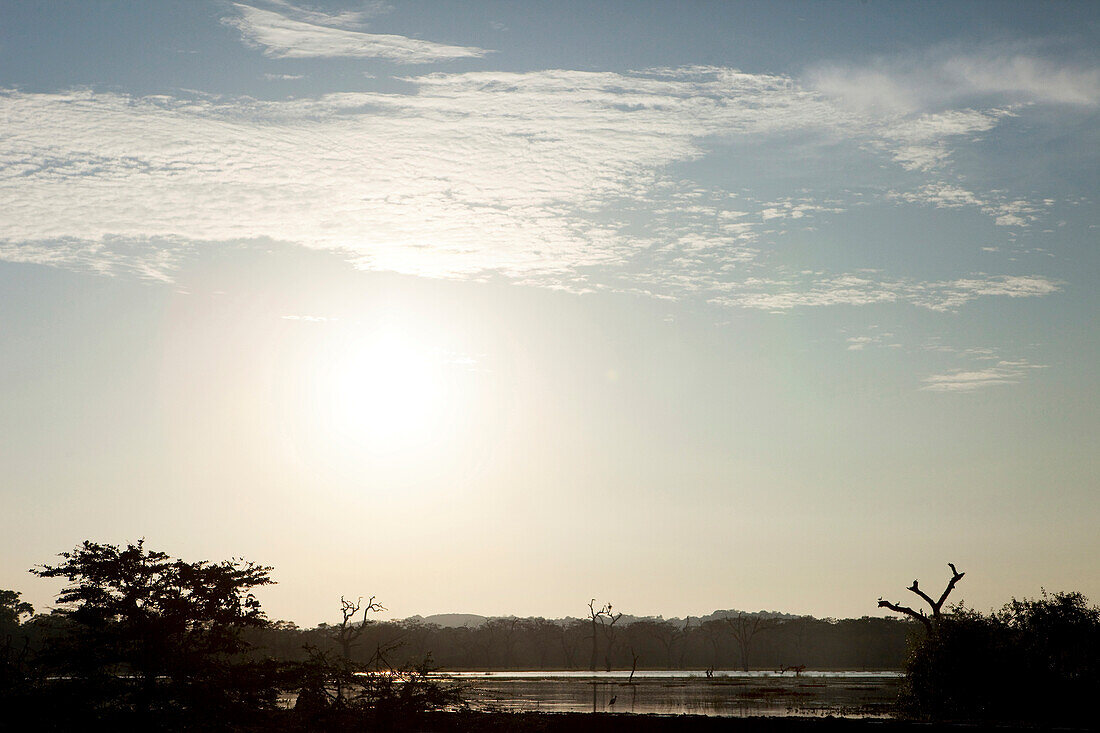 Sumpf im Abendlicht, Yala Nationalpark, Sri Lanka, Asien