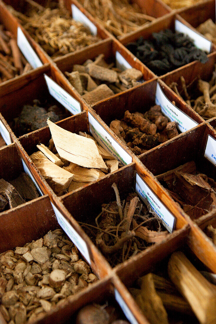 Box containing different ayurvedic plants at the Surya Lanka Ayurveda Beach Resort, Talalla, Matara, South coast, Sri Lanka, Asia