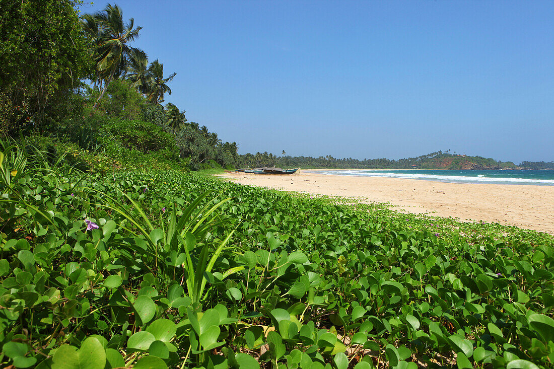 Fishing boats at Talalla beach, Talalla, Matara, South coast, Sri Lanka, Asia