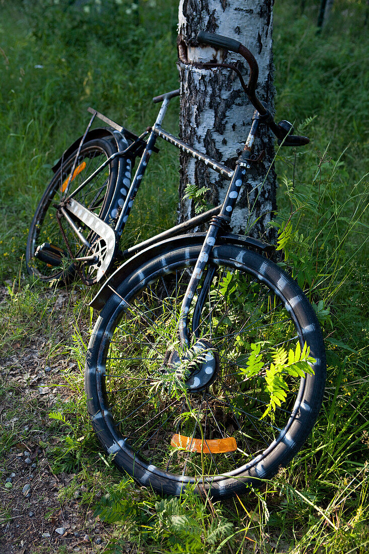 Old bicycle leaning against a tree, island of Norrbyskaer, Vaesterbotten, Sweden, Europe