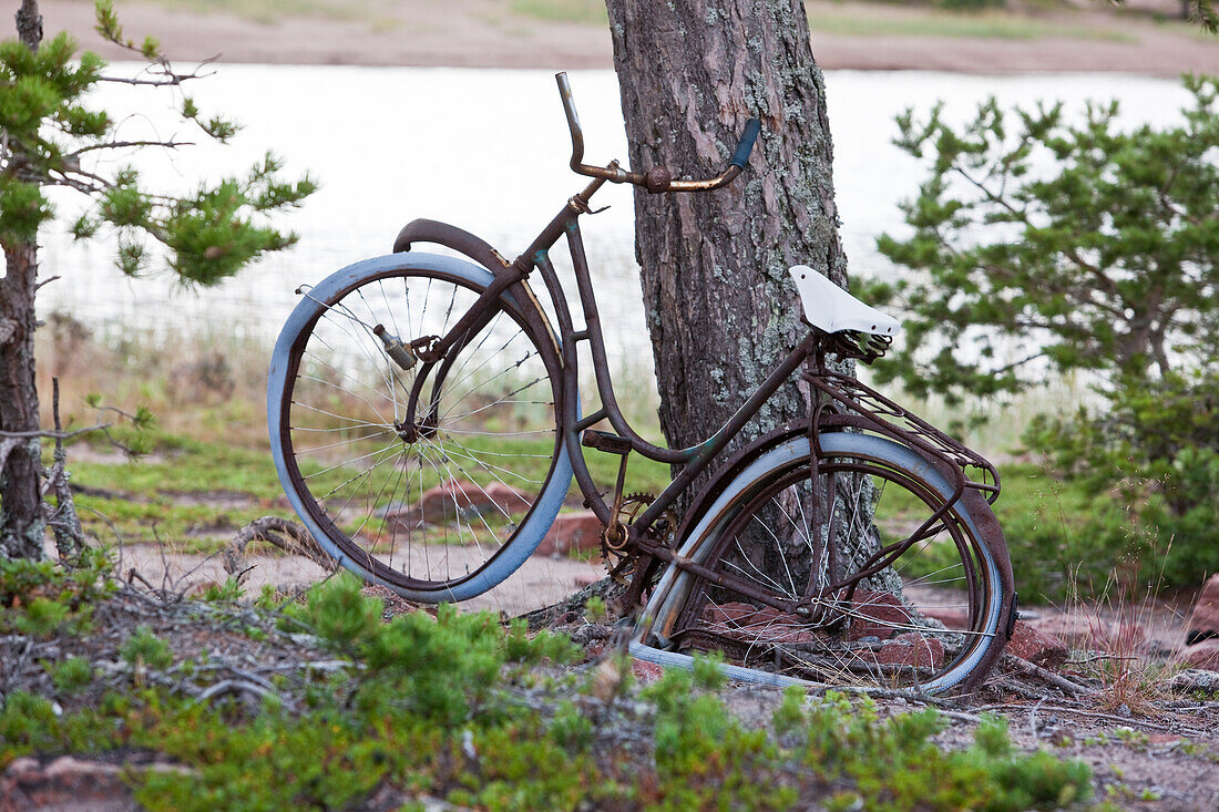 Altes, kaputtes Fahrrad in der Bucht Storsands Havsbad, Höga Kusten, Västernorrland, Schweden, Europa