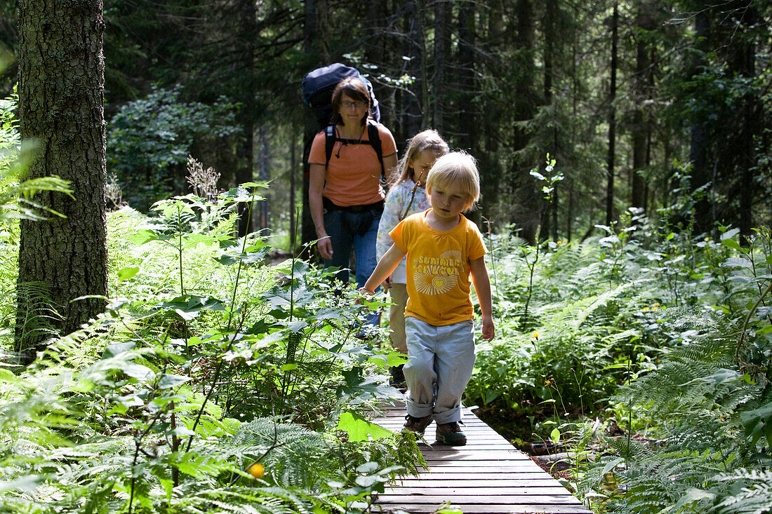 A woman and two girls hiking at the national park Skuleskogen, Höga Kusten, Vaesternorrland, Sweden, Europe