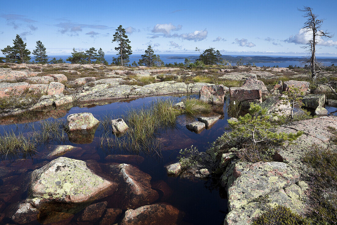 Rocks and ponds at national park Skuleskogen, Höga Kusten, Vaesternorrland, Sweden, Europe
