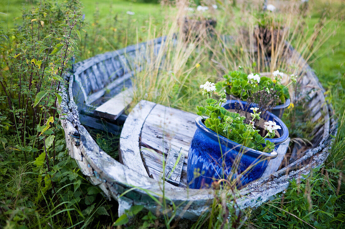 Altes Ruderboot im Gras mit Blumen, Västerbotten, Schweden, Europa