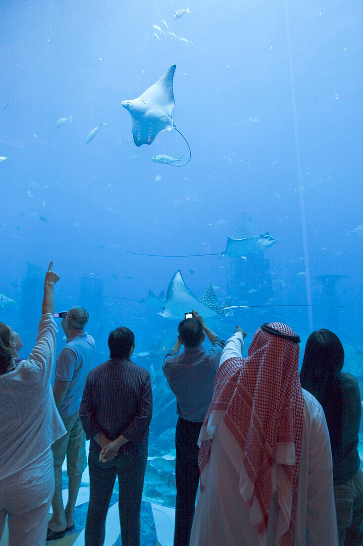Atlantis Hotel, The Palm Jumeirah, Visitors watching the Aquarium at East Tower Lobby, Manta stingray