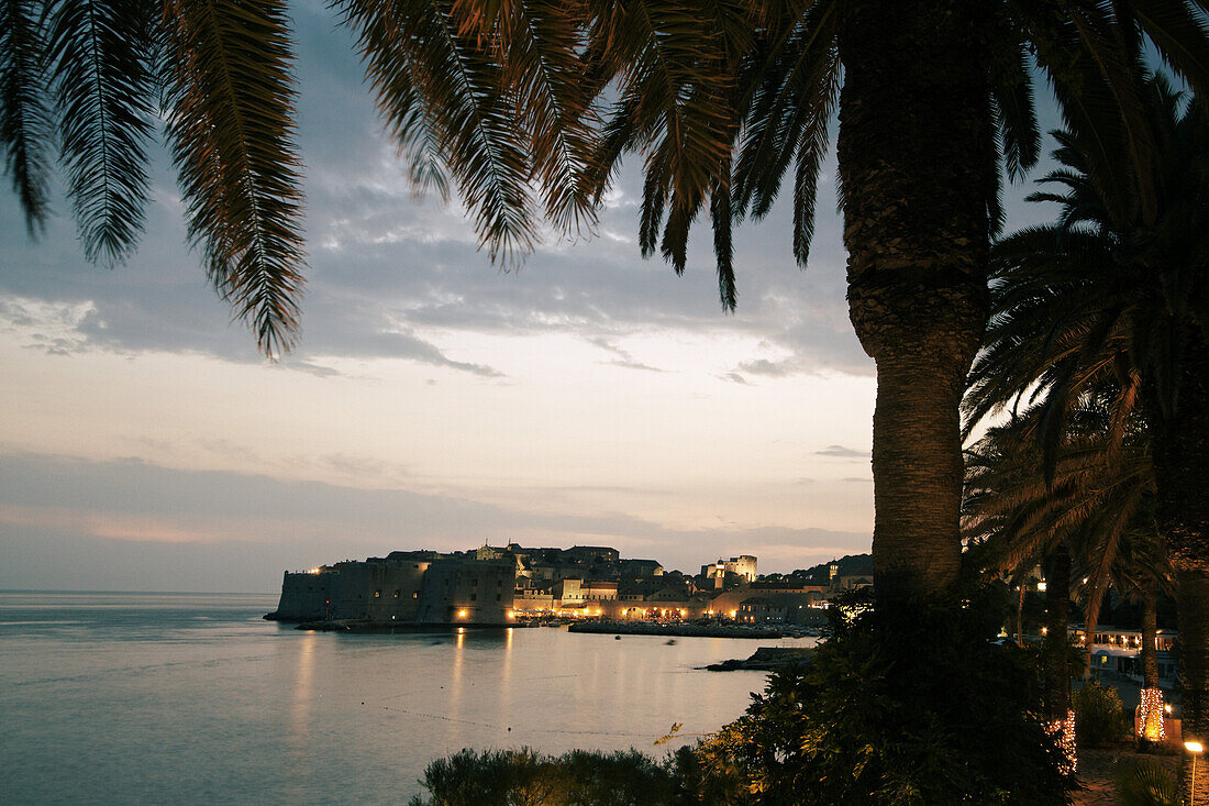 Palm trees and old Town Center of Dubrovnik at sunset, Dalmation Coast, Croatia