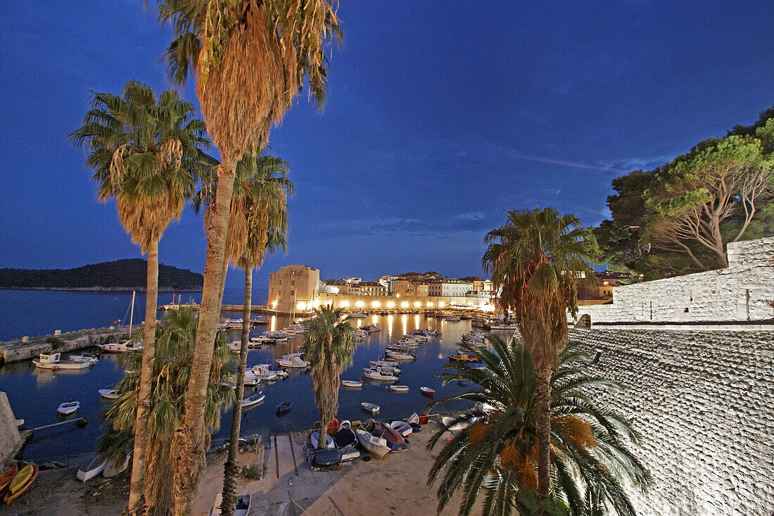 Palm trees, habour, old Town Center of Dubrovnik at dusk, Dalmation Coast, Croatia