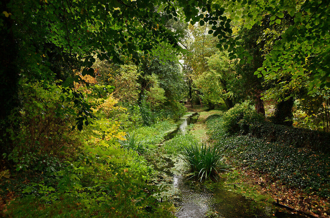 Muehlgraben, Herzberg (Elster), Land Brandenburg, Deutschland