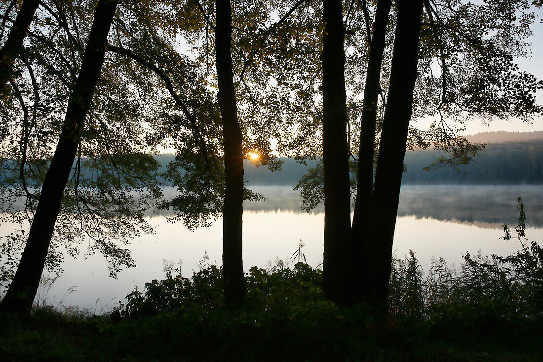 Lake Petersdorf, Bad Saarow, Land Brandenburg, Germany