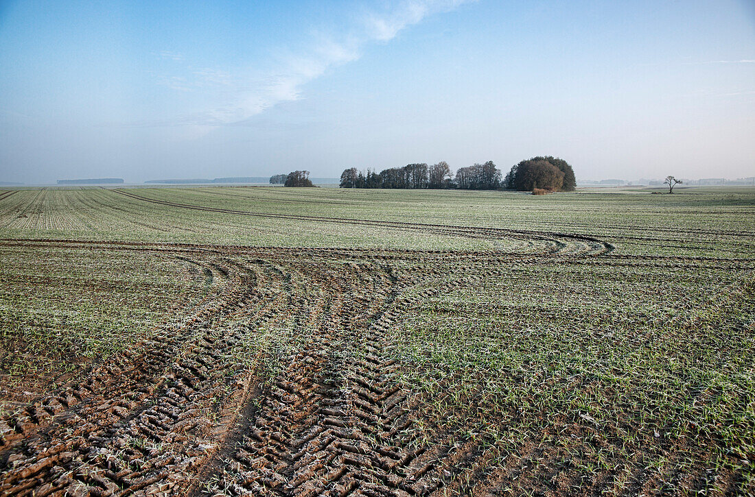 Farmland near Belzig, Flaeming, Land Brandenburg, Germany