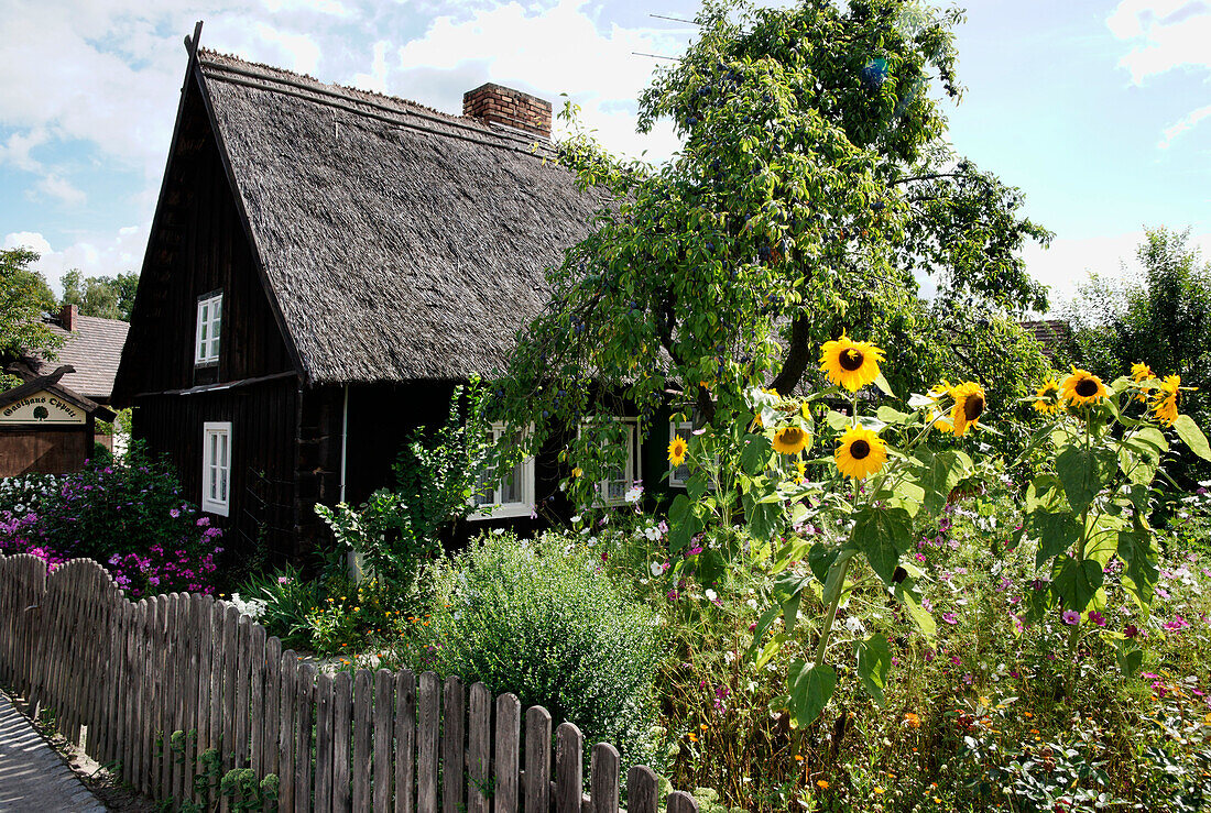 House and garden in Lehde, Spreewald, Land Brandenburg, Germany