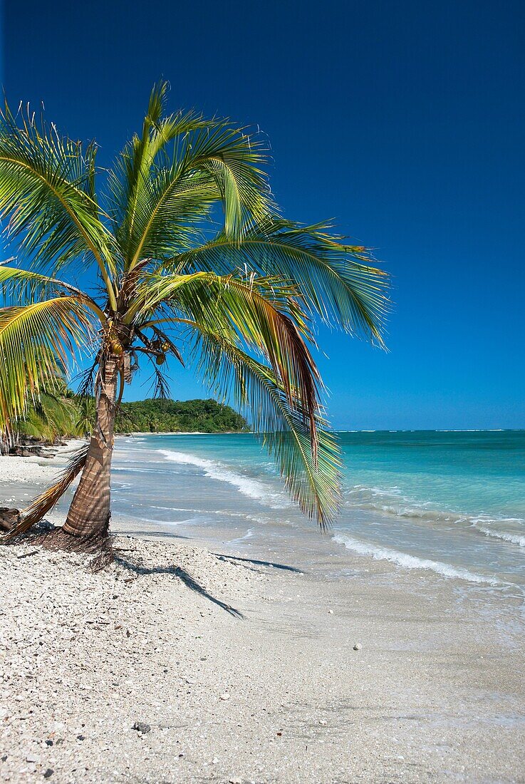 Cahuita-Nationalpark, Costa Rica