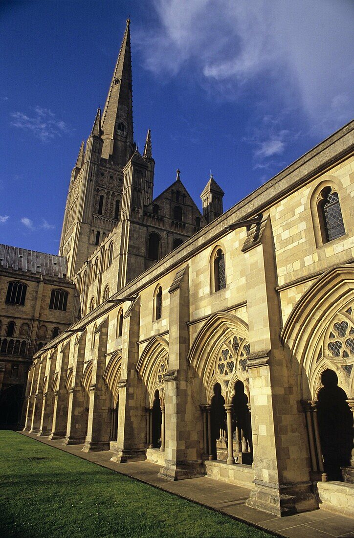 UK, England, Norfolk, Norwich Cathedral, primarily built 1096-1145: Cloiser lawn or ´garth´, cloister, south transept, crossing tower and spire, both the seat of a bishop and a Benedictine priory