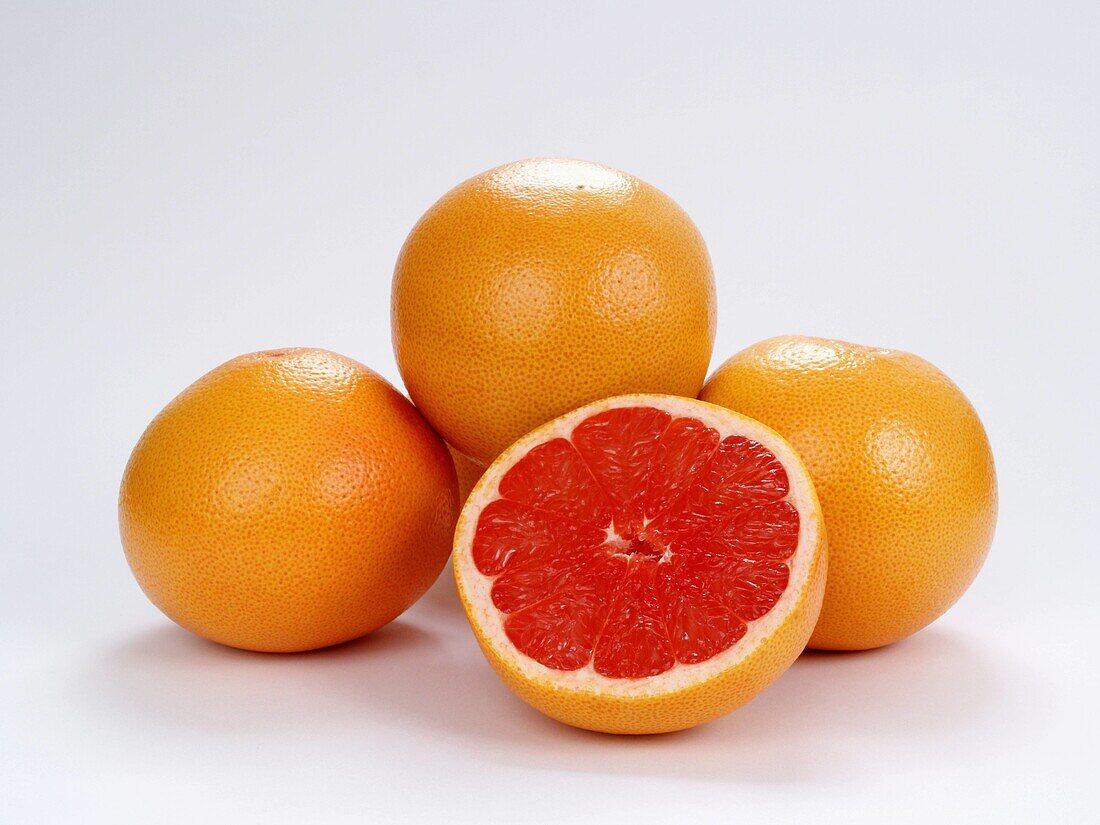 Grapefruit, Citrus fruits