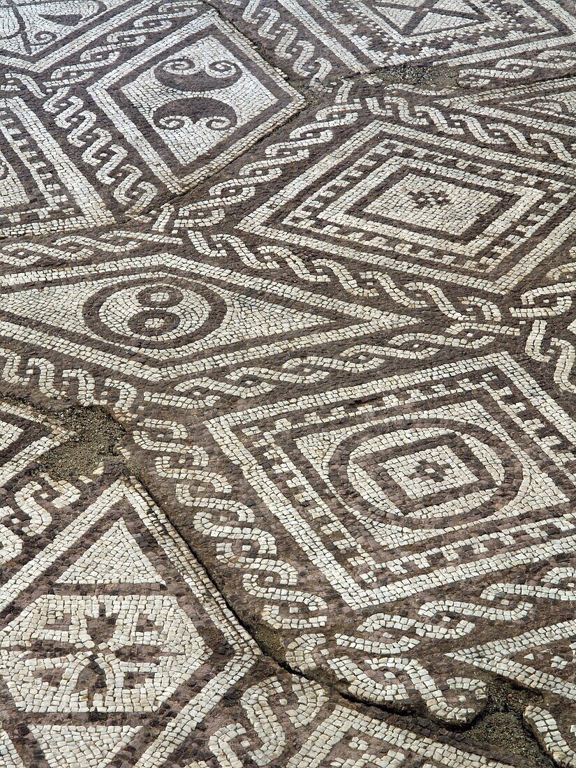 Mosaic, ancient Roman Villa Armira near the town Ivaylovgrad, BulgariaNear the town is unique Ivaylovgrad ancient Roman Villa Armira. Antique Villa Armira represents an impressive range of residential and commercial buildings located in an area of 2200 sq