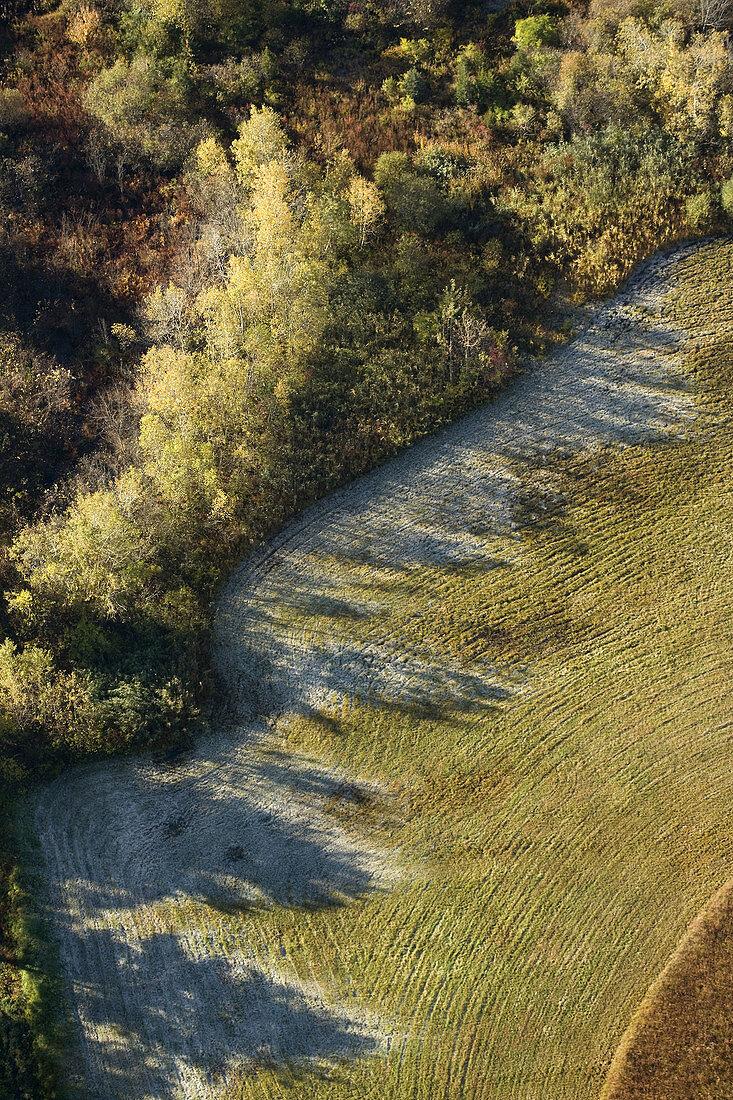 Autumn morning frost shadows aerial view, Westborough, Massachusetts, USA