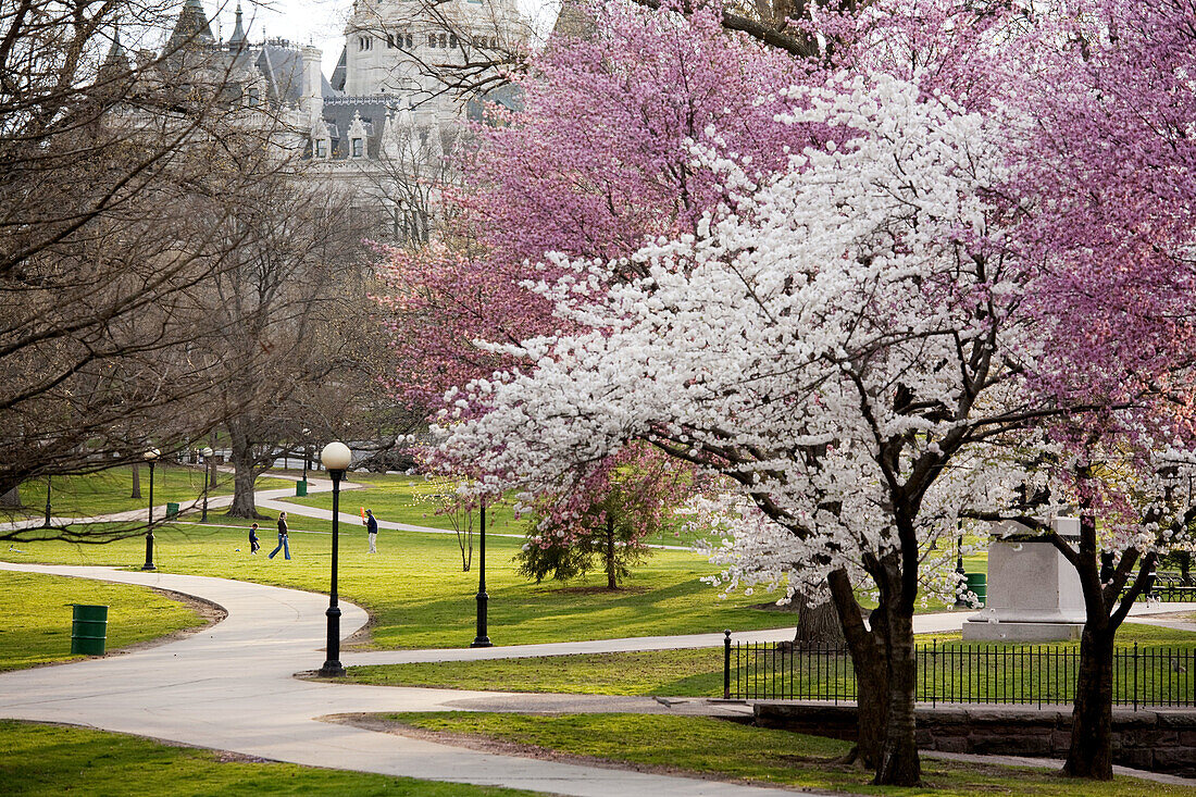 Abend, Amerika, Aussen, Baum, Bäume, Bushnell Park, Connecticut, Draussen, Farbe, Frühling, Hartford, Horizontal, Jahreszeit, Jahreszeiten, Länder, neue England, Nordamerika, Park, Parks, Pfad, Pfade, Plätze der Welt, Reisen, Stadt, Städte, Tageszeit, USA