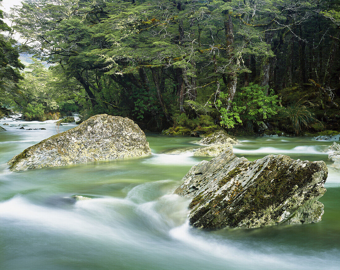 River at Forge Flat Routeburn Track Mt Aspiring National Park New Zealand