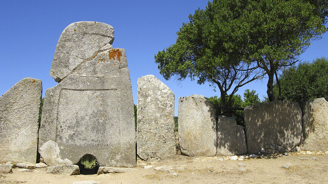 Giants Tomb of Le Lolghi  1800 _ 1200 BC) Arzachena. Olbia Tempio Province. Sardinia. Sardegna. Italy / Tumba de gigantes de Le Lolghi  1800 _ 1200 a. C.) Arzachena. Olbia Tempio Province. Sardegna. Italia