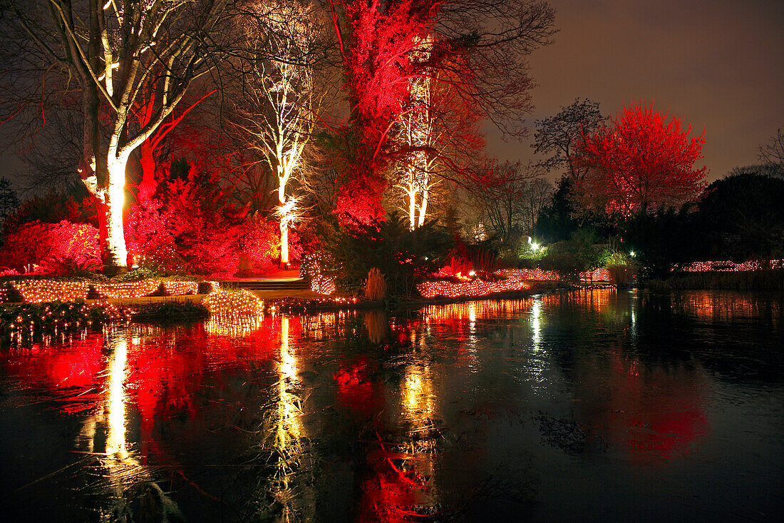 Illumination Winterleuchten at Westfalenpark, Dortmund, Ruhr area, NorthRhine-Westphalia, Germany