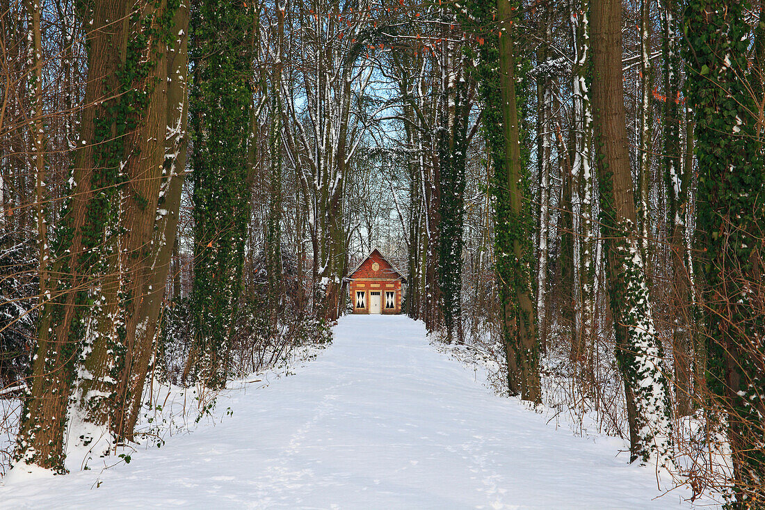 Allee zum Gartenhaus, Wasserschloss Haus Hülshoff, bei Havixbeck, Münsterland, Nordrhein-Westfalen, Deutschland