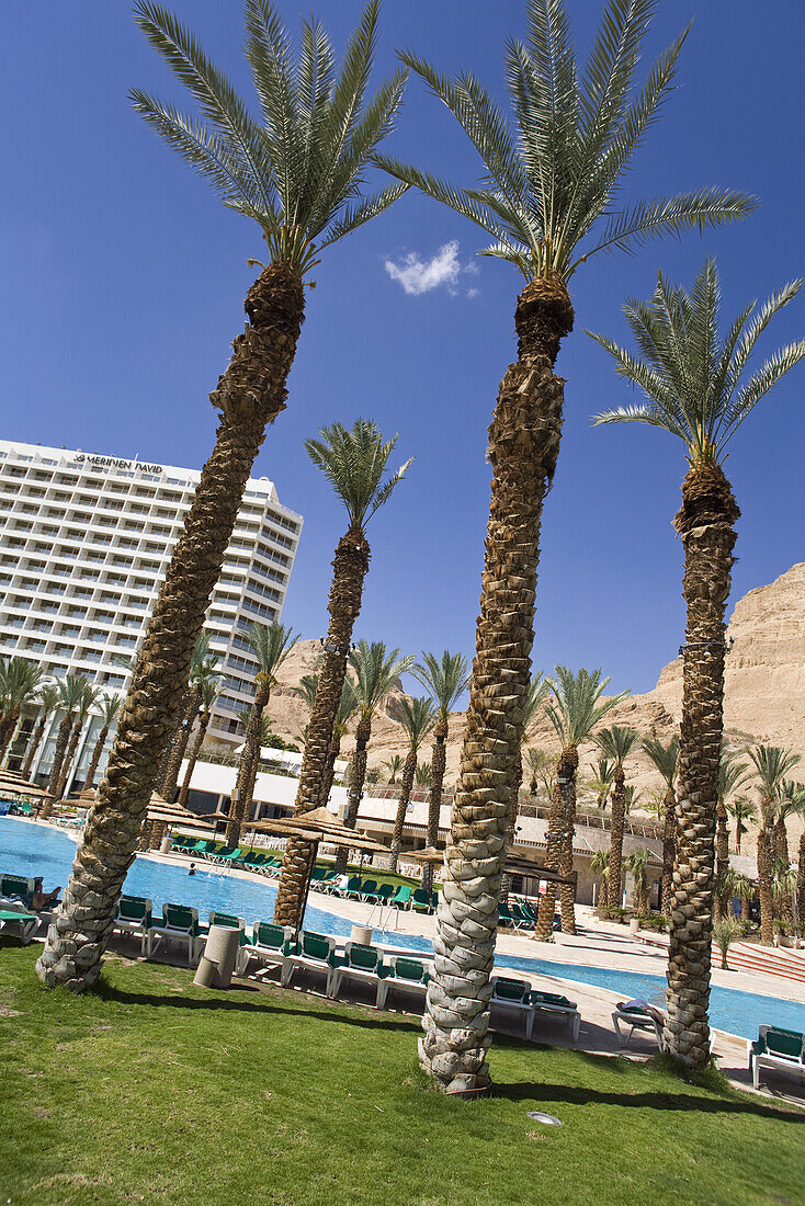 Palm trees and pool at the Meridean Hotel resort, En Bokek, Israel, Middle East