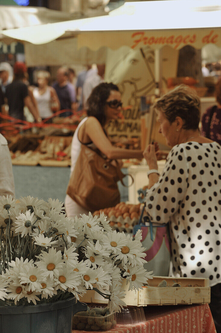 Menschen und Margeriten auf dem Markt, Aix-en-Provence, Provence, Frankreich, Europa