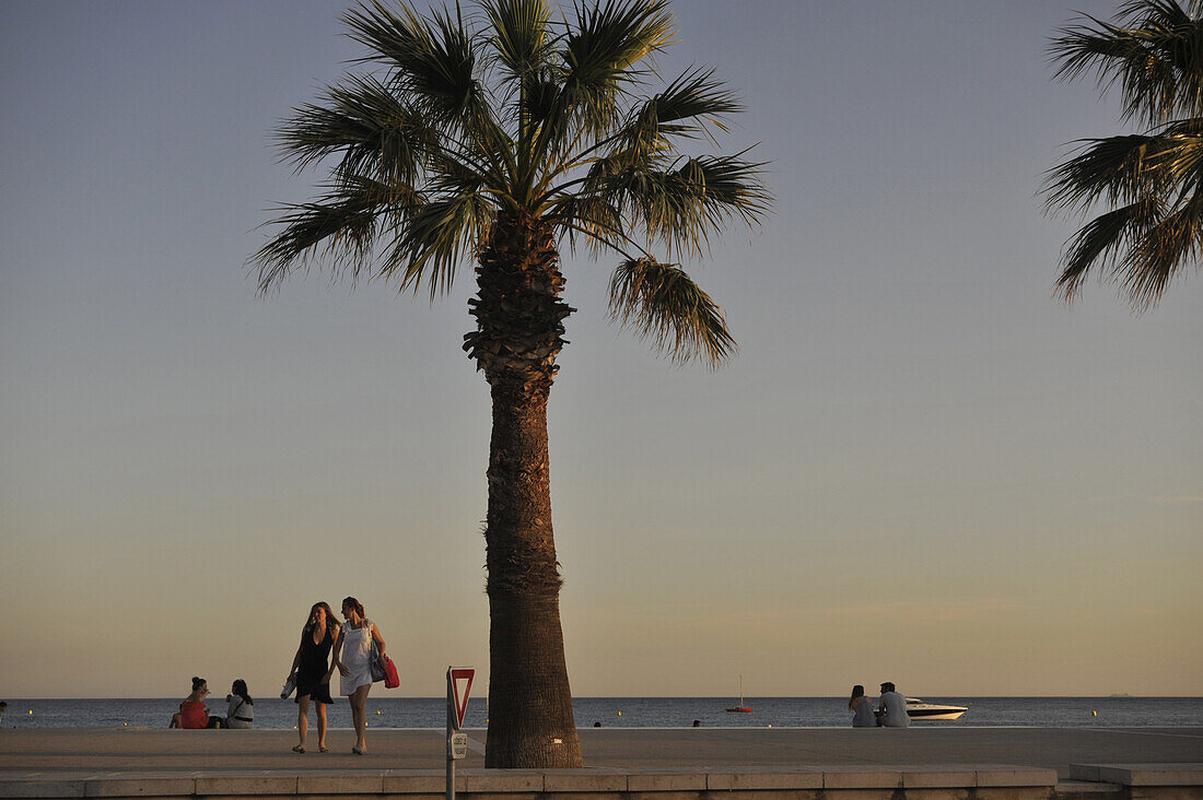 Palme und junge Frauen an der Strandpromenade in der Abenddämmerung, Cassis, Côte d´Azur, Bouches-du-Rhone, Provence, Frankreich, Europa