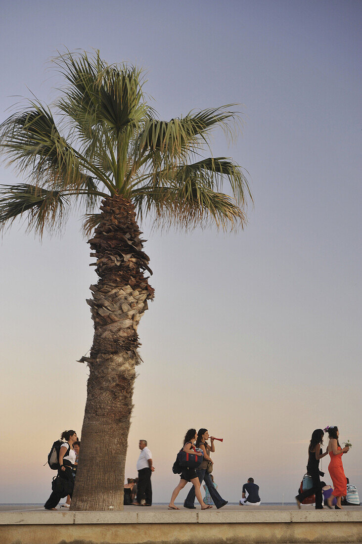 Palme und junge Frauen an der Strandpromenade in der Abenddämmerung, Cassis, Côte d´Azur, Bouches-du-Rhone, Provence, Frankreich, Europa