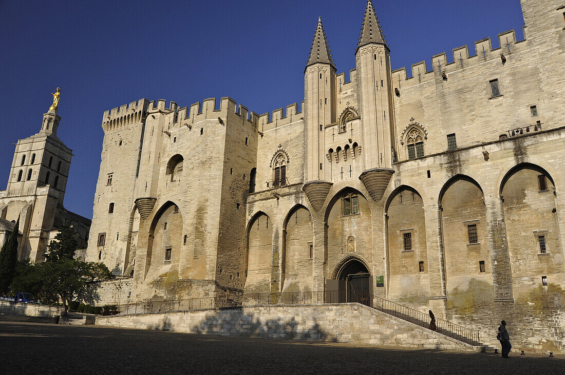Palais des Papes, Papstpalast und die Kathedrale Notre-Dame-des-Doms in Avignon, Vaucluse, Provence, Frankreich, Europa