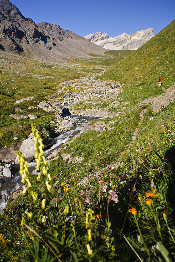 Val Gronda mit Wissberg im Hintergrund, Graubünden, Schweiz