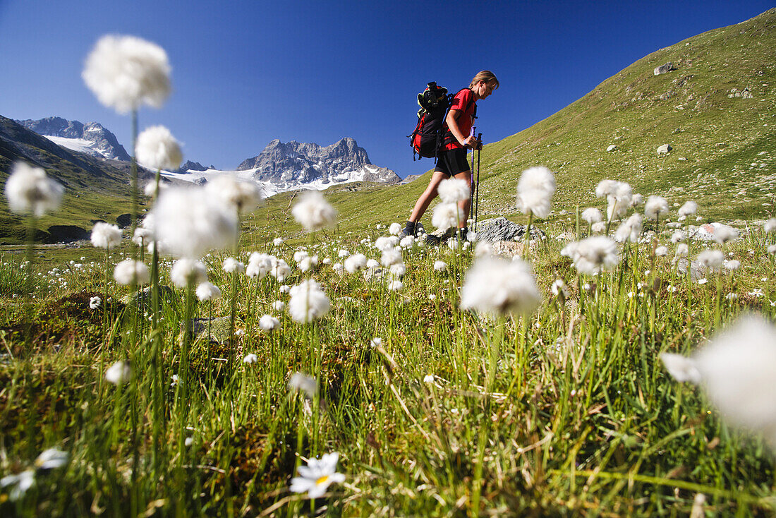 Woman hiking in valley Val dal Tschuevel, Piz Kesch in background, Grisons, Switzerland