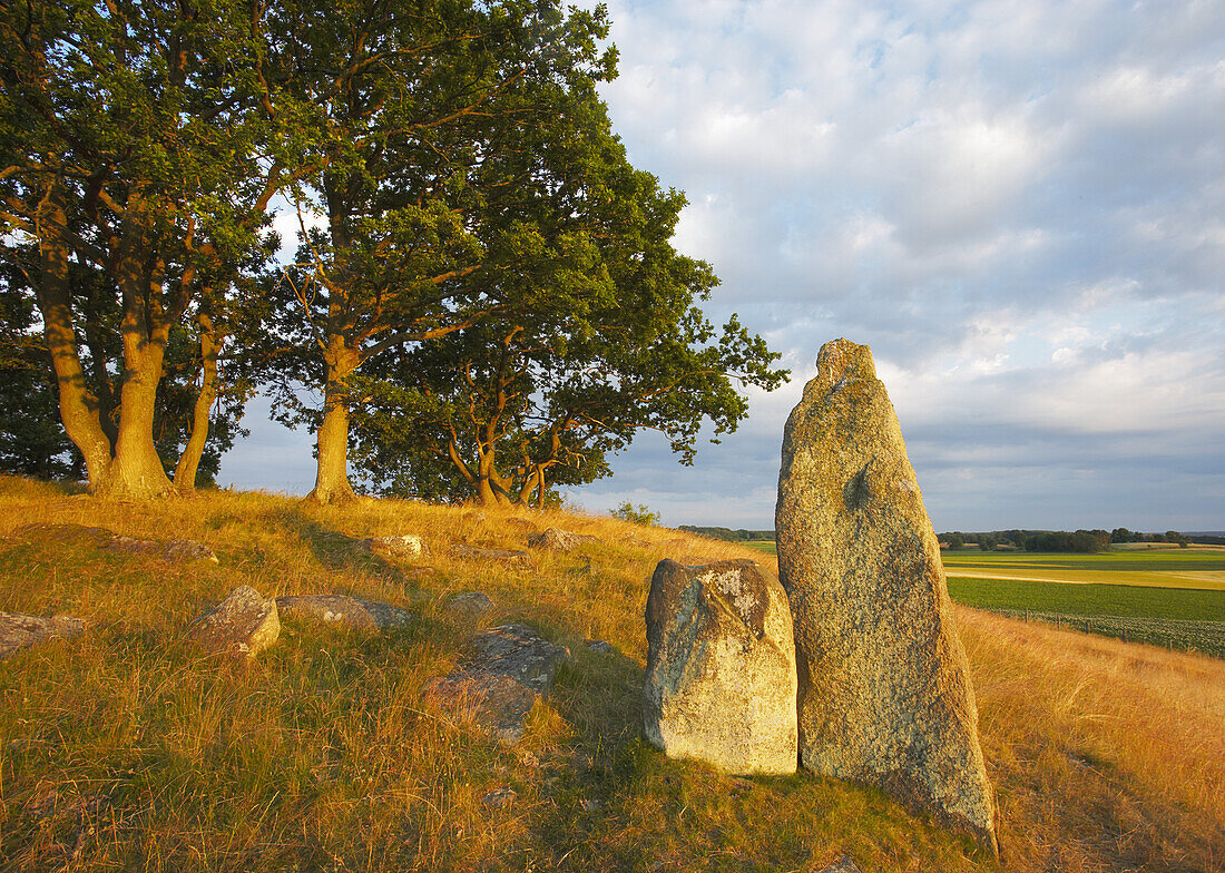 Graves from the Iron Ages., Skåne, Sverige