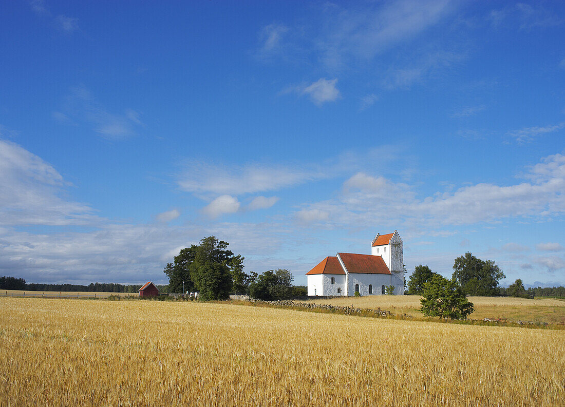 Church in agriculture landscape