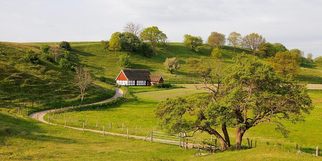 House in agriculture landscape, Österlen, Skåne, Sweden