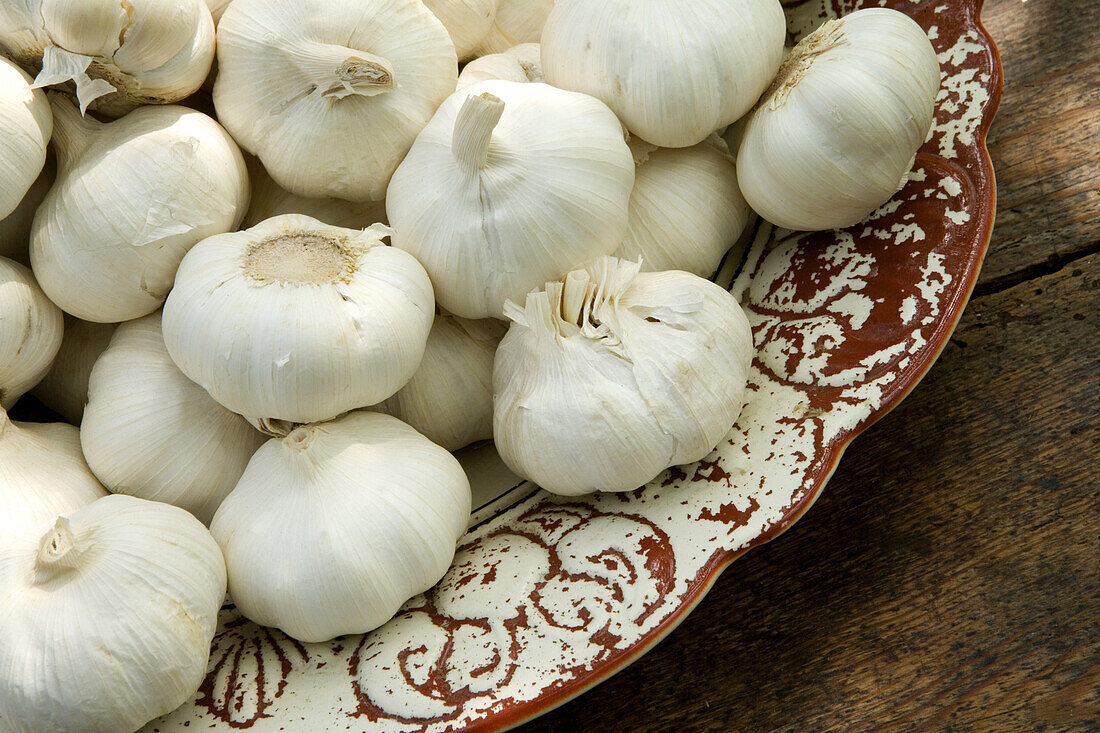 Garlic