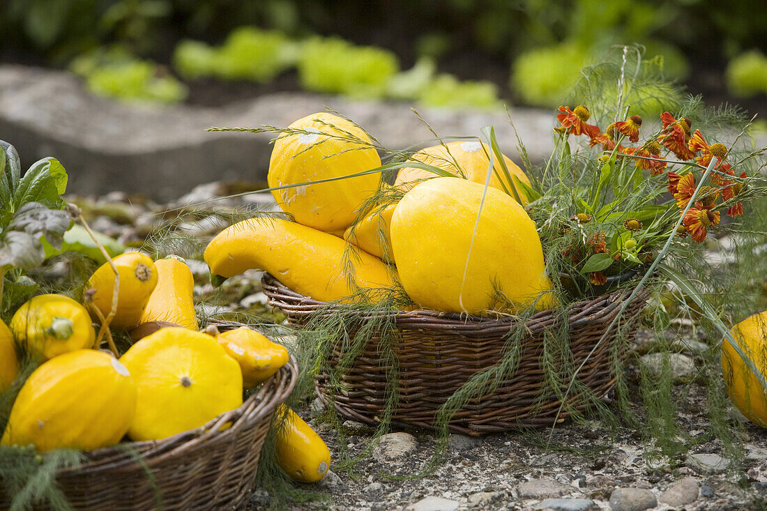 Sofiero castle, melon house, Skåne, Sweden