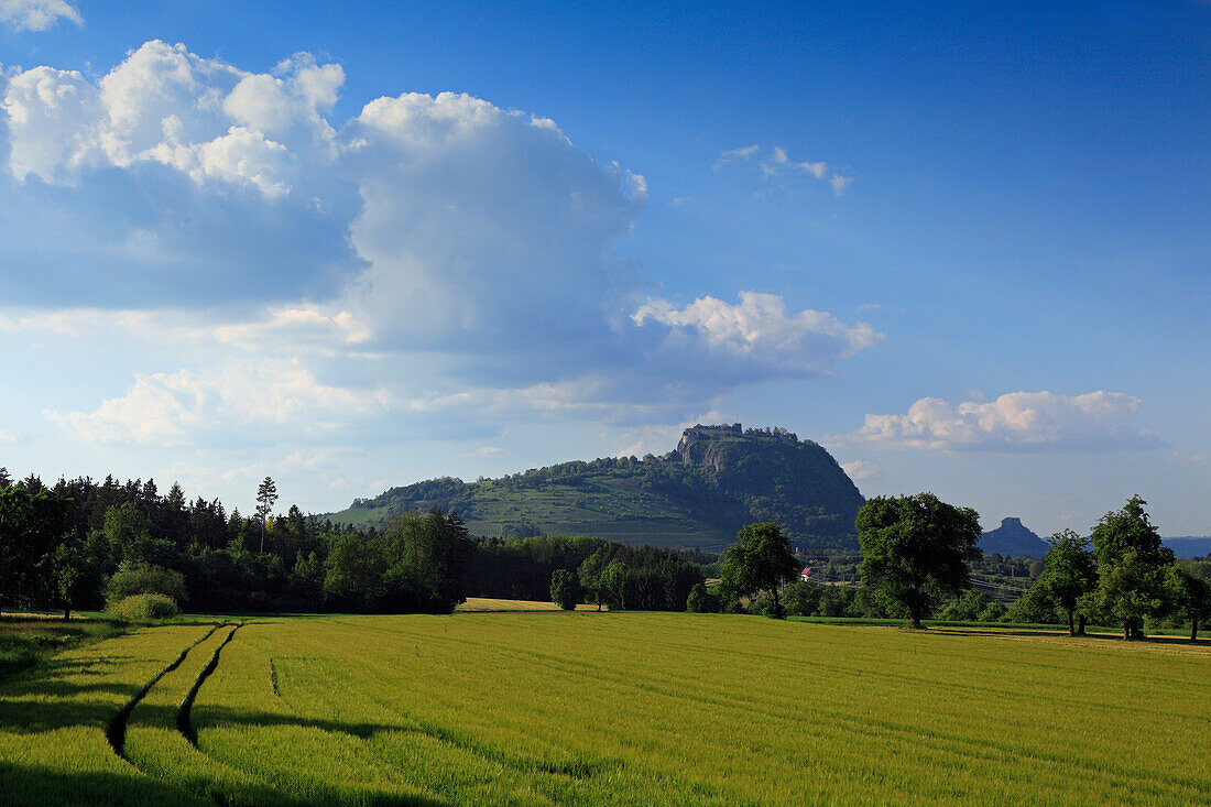 Blick zur Festungsruine Hohentwiel unter Wolkenhimmel, Hegau, Bodensee, Baden-Württemberg, Deutschland