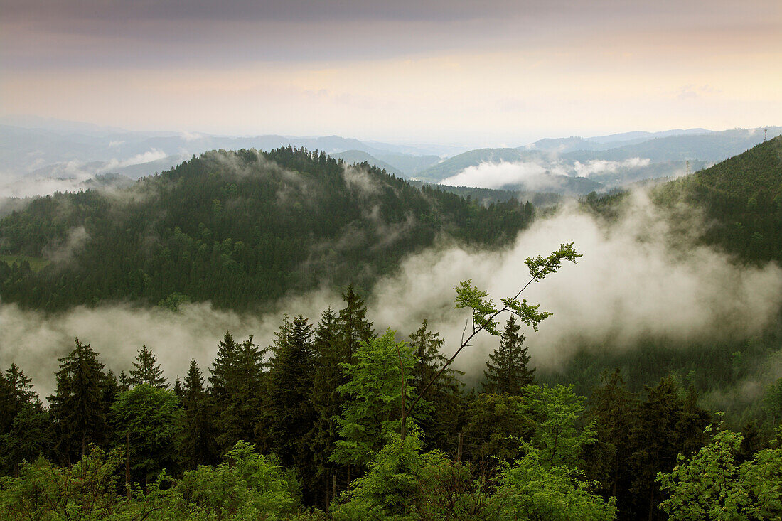 Blick auf Nebel über Bergen und Wäldern, Mittlerer Schwarzwald, Baden-Württemberg, Deutschland, Europa