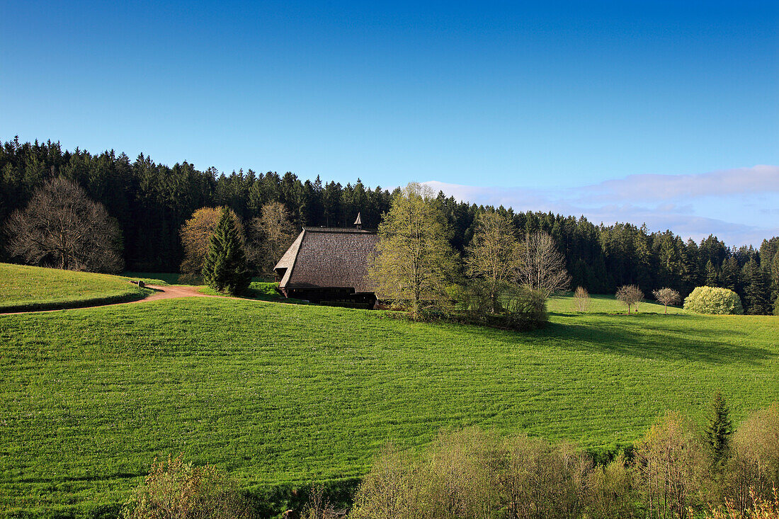 Schwarzwaldhaus zwischen Bäumen auf einer Wiese, Südlicher Schwarzwald, Baden-Württemberg, Deutschland, Europa