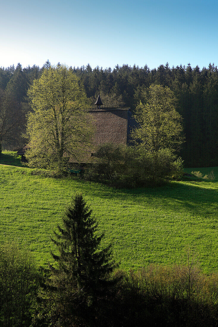 View at Black Forest house between trees, Black Forest, Baden-Württemberg, Germany, Europe