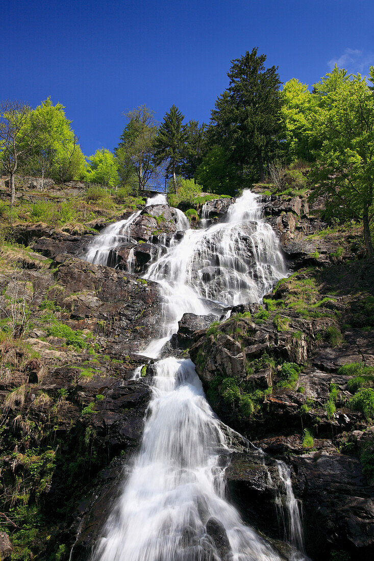 Waterfall under blue sky, Black Forest, Baden-Württemberg, Germany, Europe