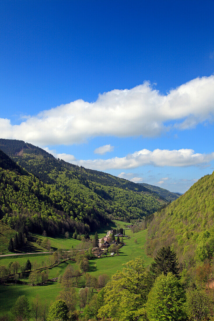 Blick ins Wiesetal unter Wolkenhimmel, Südlicher Schwarzwald, Baden-Württemberg, Deutschland, Europa