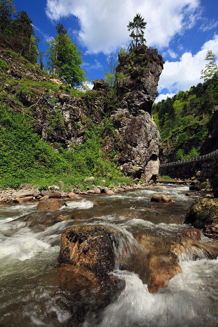 Stream in a gorge at Wehra valley, Black Forest, Baden-Württemberg, Germany, Europe