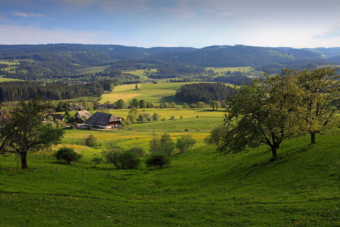 Schwarzwaldhaus in idyllischer Landschaft, Südlicher Schwarzwald, Baden-Württemberg, Deutschland, Europa