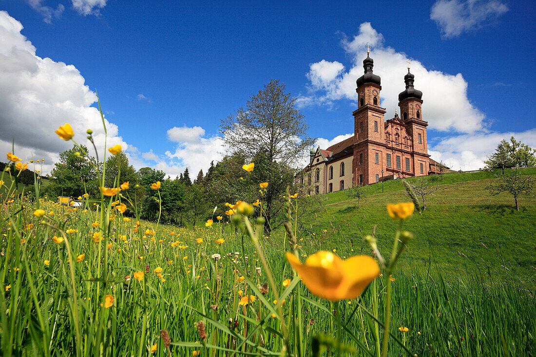 St. Peter abbey and flower meadow, Black Forest, Baden-Württemberg, Germany, Europe
