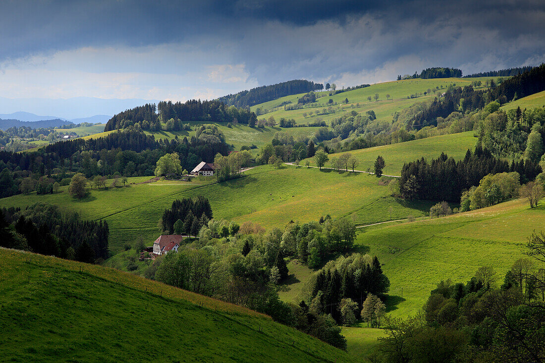 Grüne Landschaft unter Wolkenhimmel, Südlicher Schwarzwald, Baden-Württemberg, Deutschland, Europa