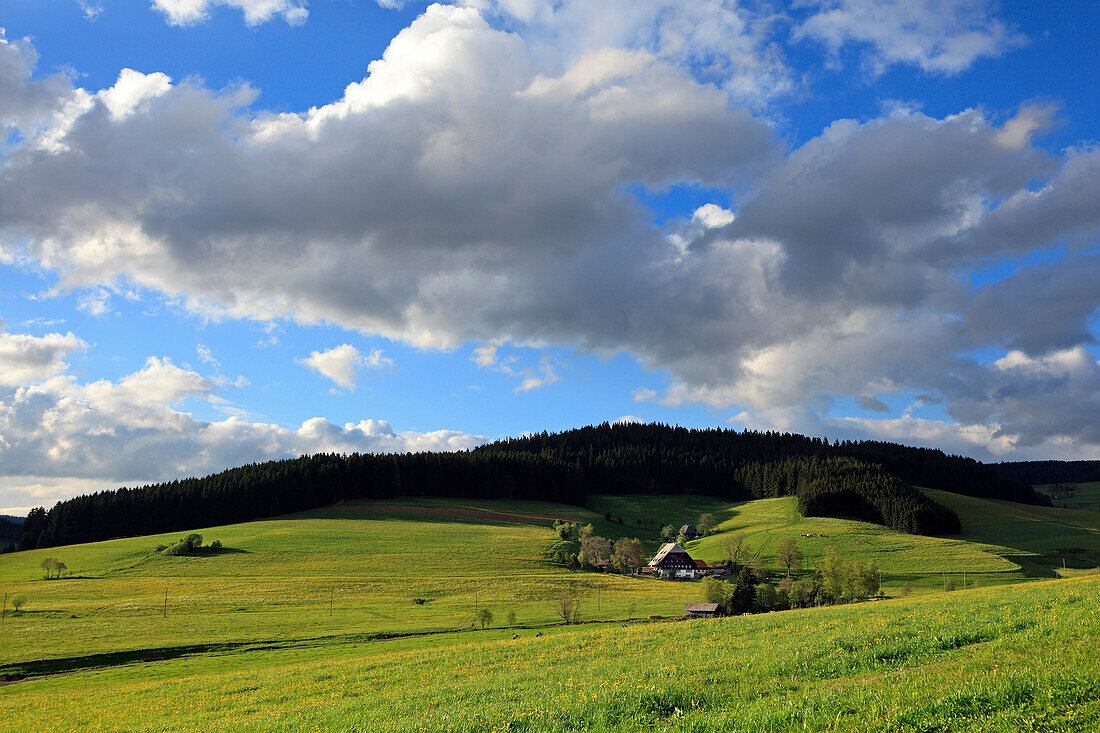 Black Forest house on a meadow under clouded sky, Black Forest, Baden-Württemberg, Germany, Europe