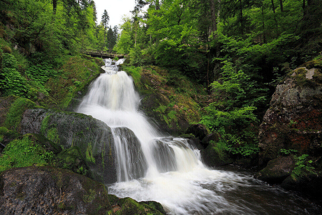 Lower cascade of Triberg waterfall, Triberg, Black Forest, Baden-Württemberg, Germany, Europe